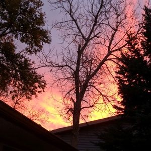 Meet your Posher, Jenn